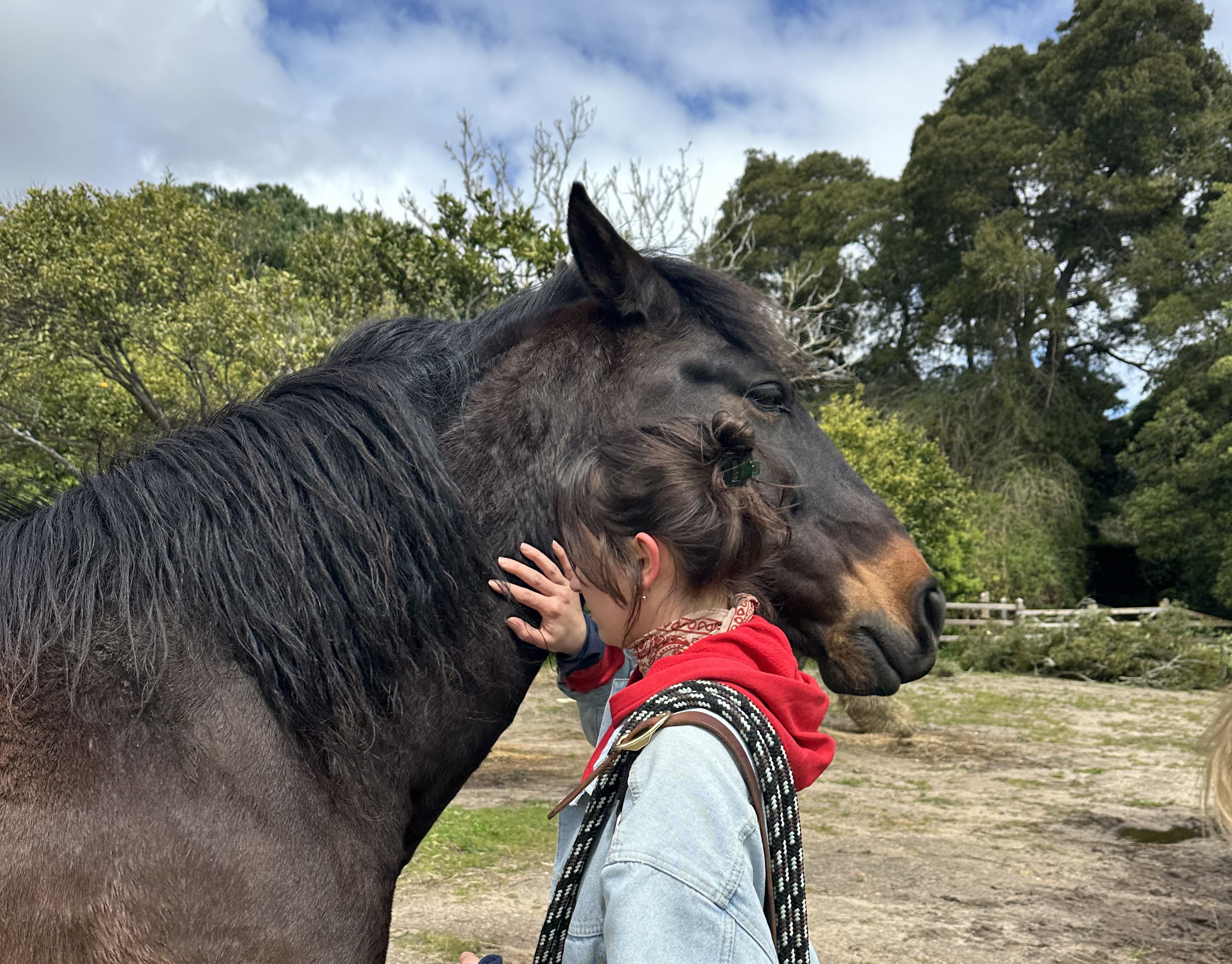 PARENT & TEEN SESSION