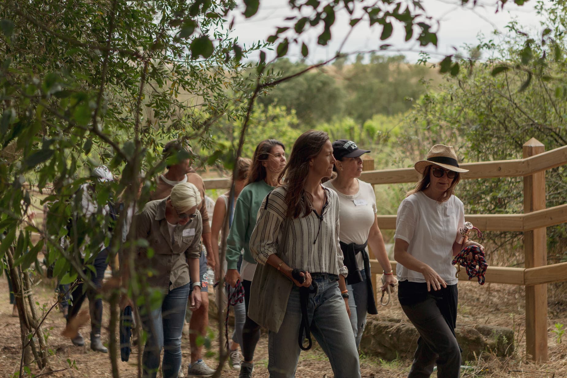 Group Session Background