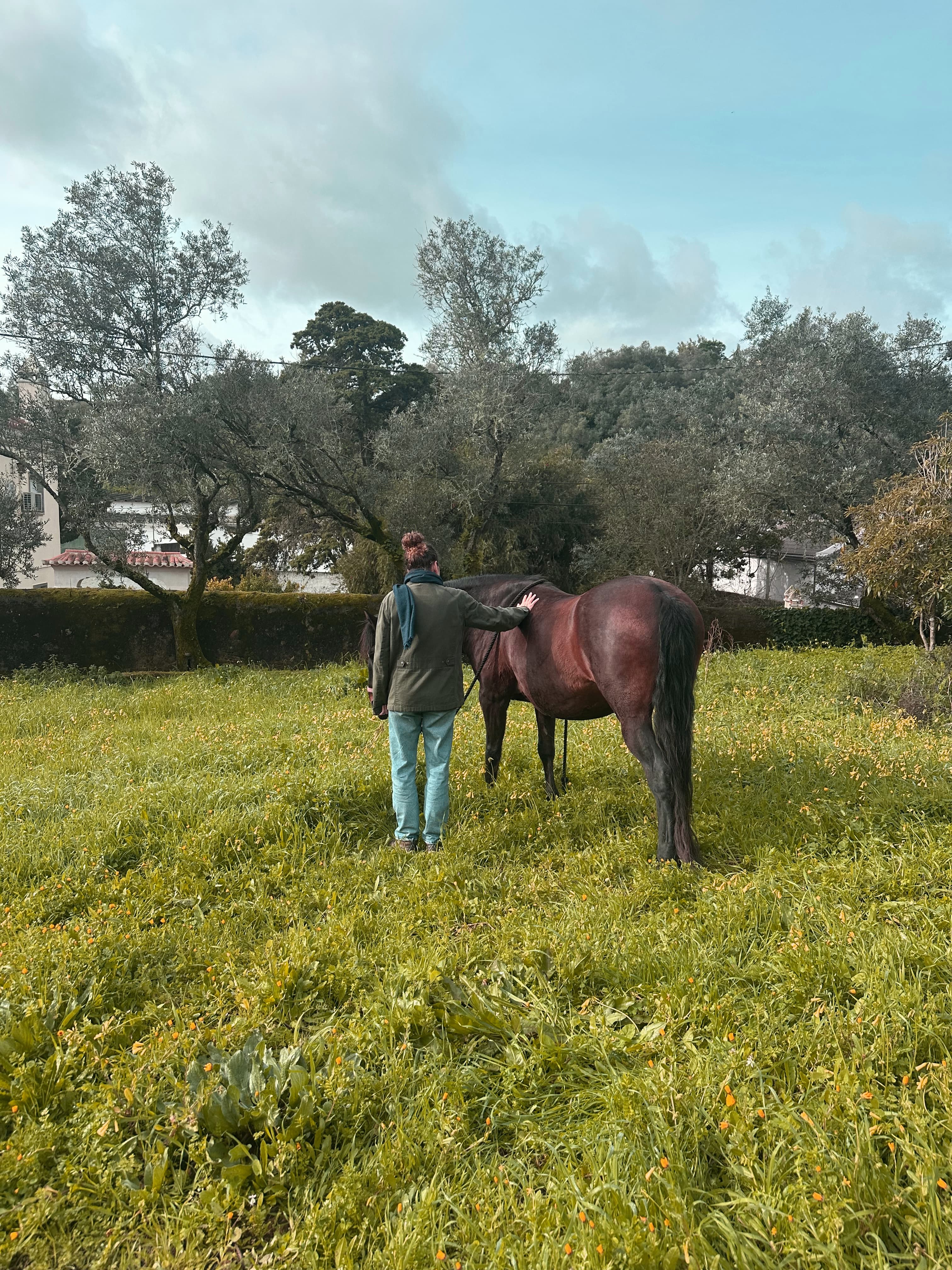 The Homeward Collective